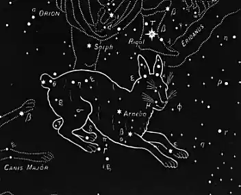 33lepus